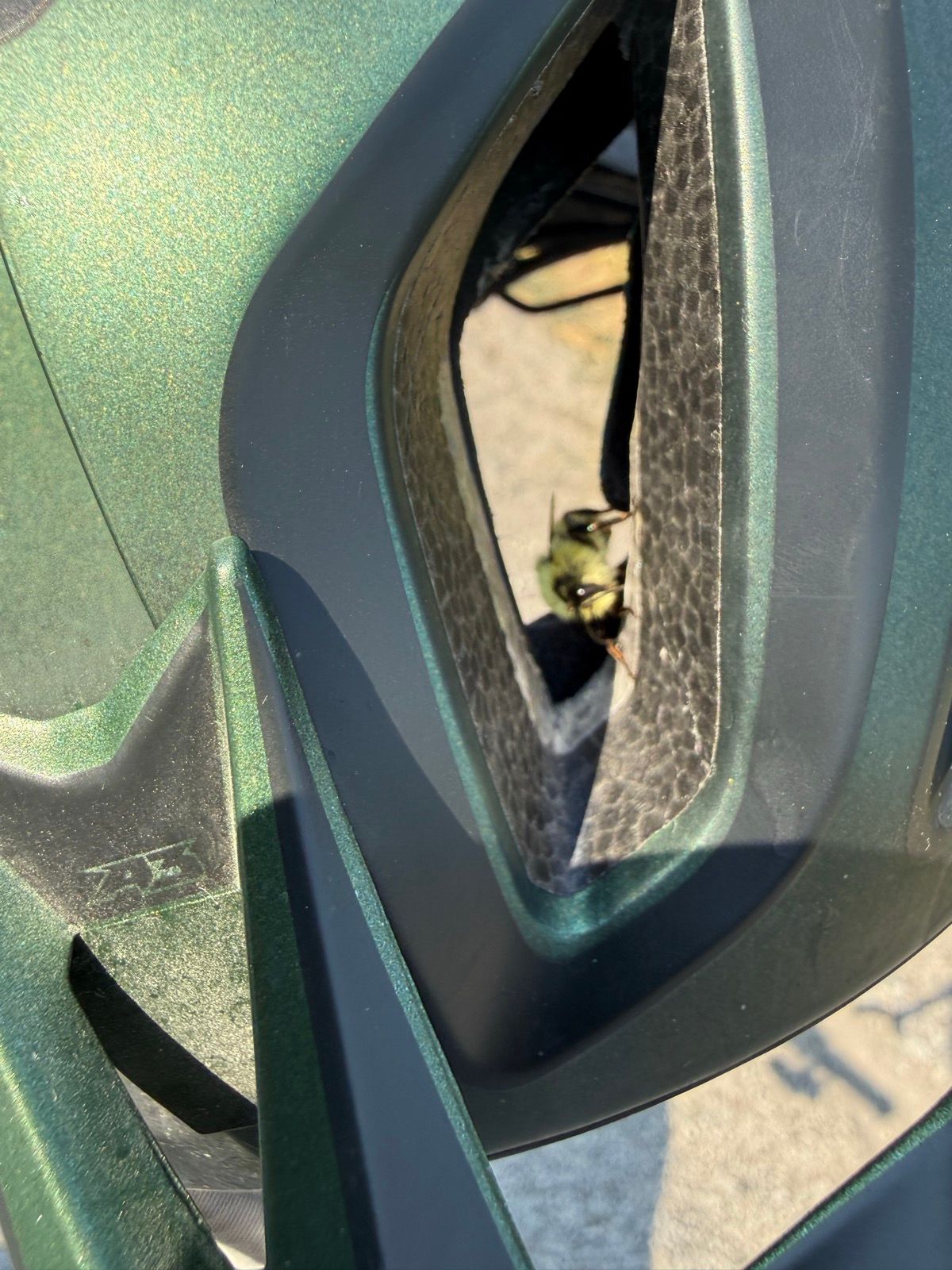 A close-up photo showing a bee inside the vent of a green-colored object, likely a vehicle or equipment, taken at Providence Canyon, Utah.