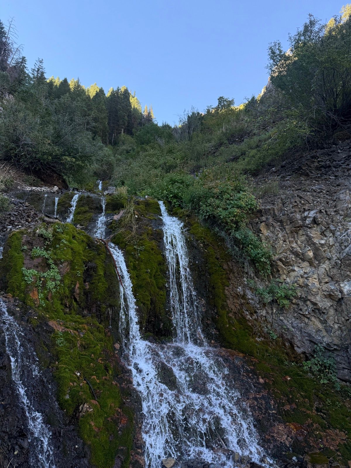 A cascading waterfall flows over moss-covered rocks, surrounded by lush greenery and tall trees under a clear blue sky in Providence Canyon, Utah.