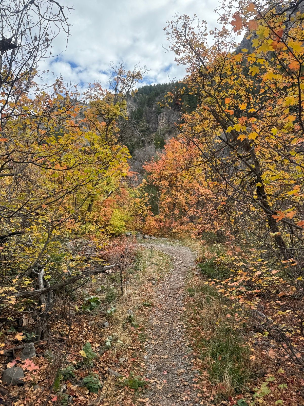 A winding dirt path through a colorful forest in Providence Canyon, Utah, surrounded by trees displaying shades of orange, yellow, and green foliage. The sky is partly cloudy, and the landscape shows signs of autumn.