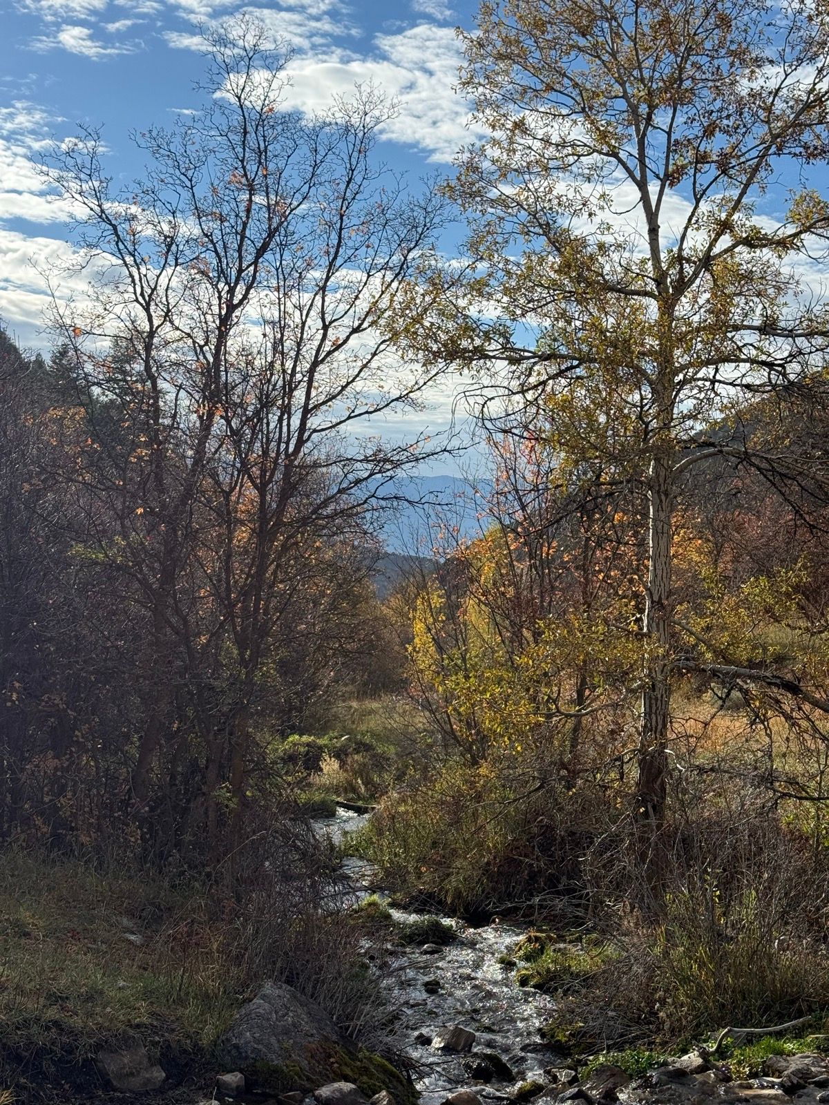 A serene view of Providence Canyon, Utah, featuring a flowing stream surrounded by trees in autumn colors under a partly cloudy sky.