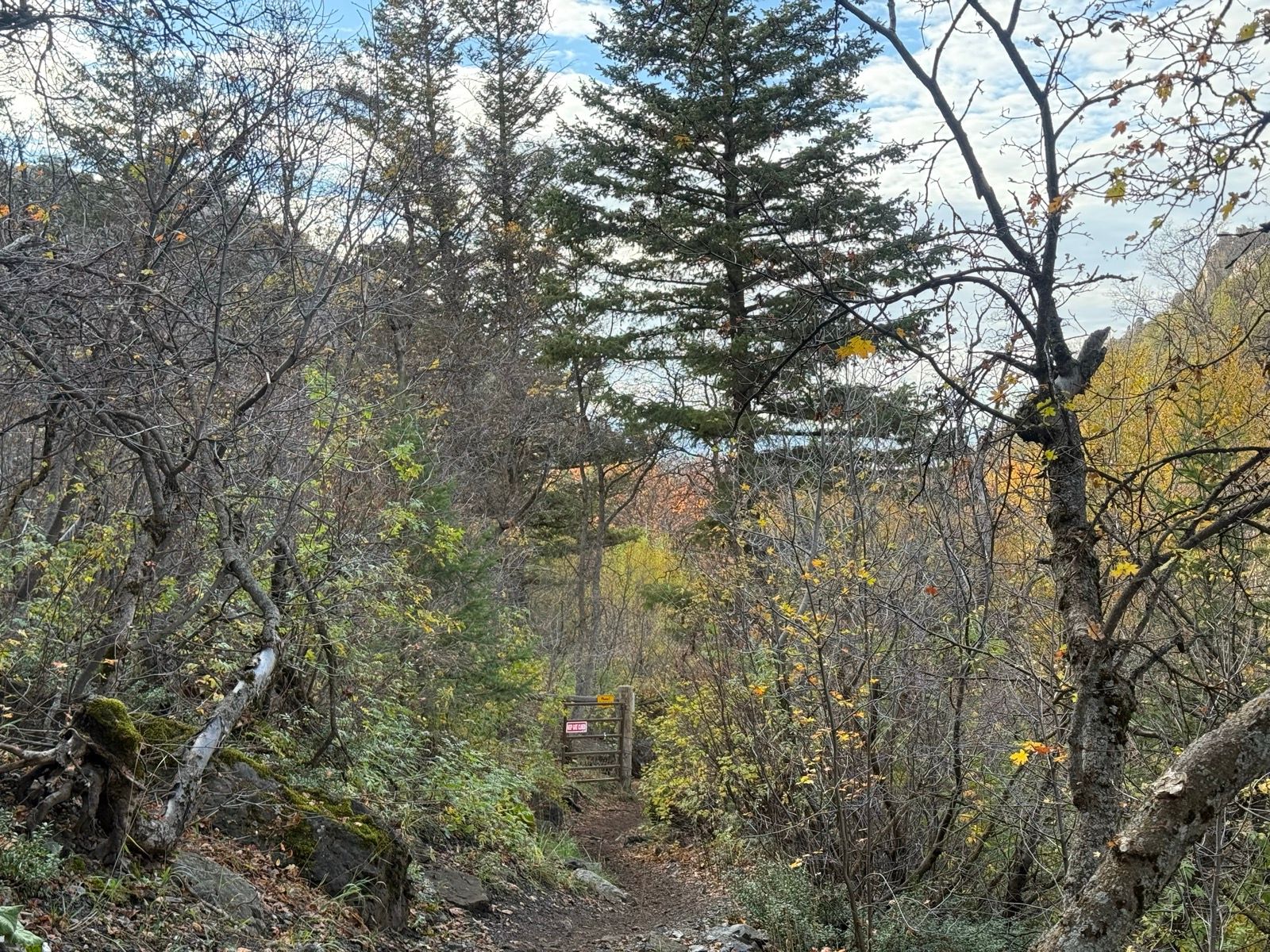 A narrow dirt path leads through a mix of bare and leafy trees in Providence Canyon, Utah. A wooden gate with a warning sign is visible in the background, surrounded by greenery and rocky terrain under a partly cloudy sky.