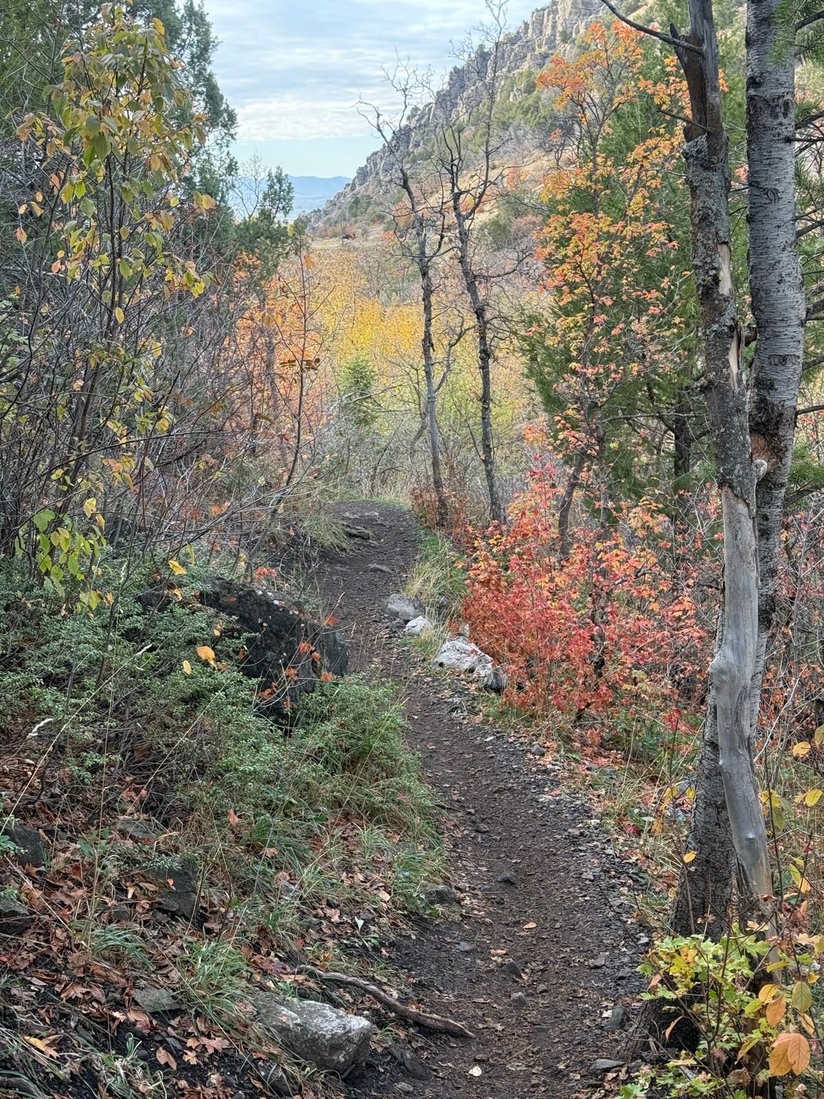 A winding dirt trail surrounded by trees with colorful autumn foliage in Providence Canyon, Utah. The path leads through a scenic landscape with distant mountains visible in the background under a cloudy sky.