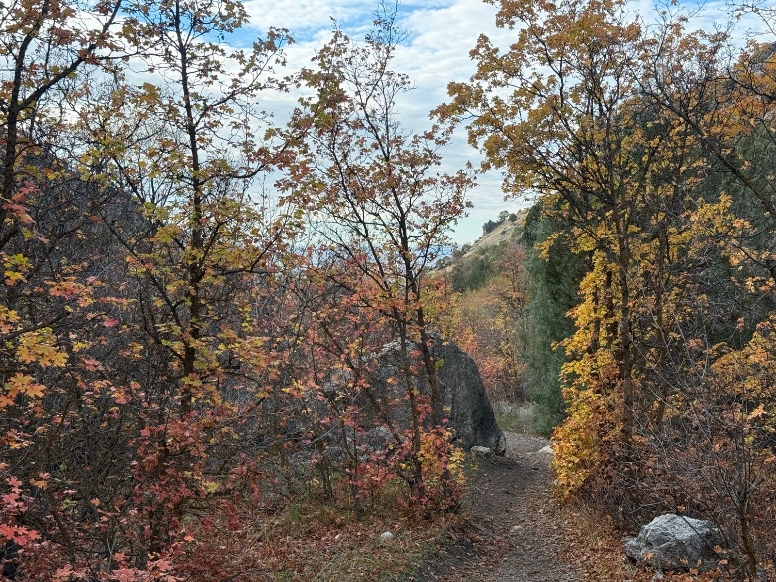 A narrow trail winds through trees with colorful autumn leaves in Providence Canyon, Utah. The scene features shades of yellow, orange, and red foliage, with rocky terrain and a cloudy sky overhead.
