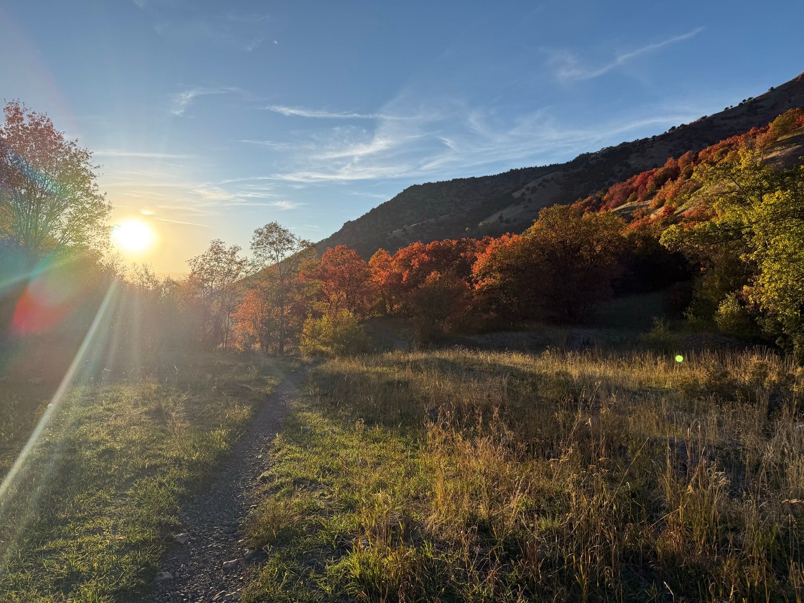 A pathway through a grassy area leads toward a sunset, with vibrant trees displaying autumn colors in Providence Canyon, Utah. The sunlight creates a warm glow, illuminating the landscape and casting long shadows.