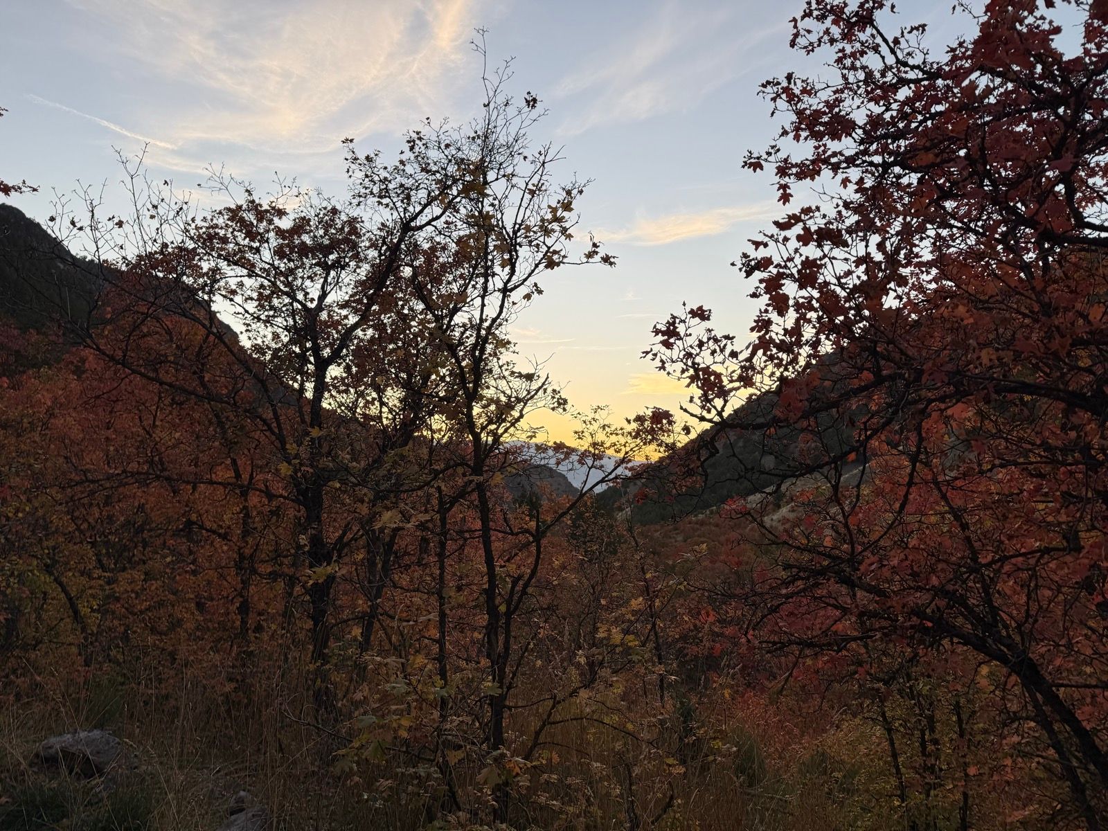 A scenic view of Providence Canyon in Utah during sunset, featuring trees with vibrant autumn leaves in shades of orange and yellow, with mountains and a soft, colorful sky in the background.