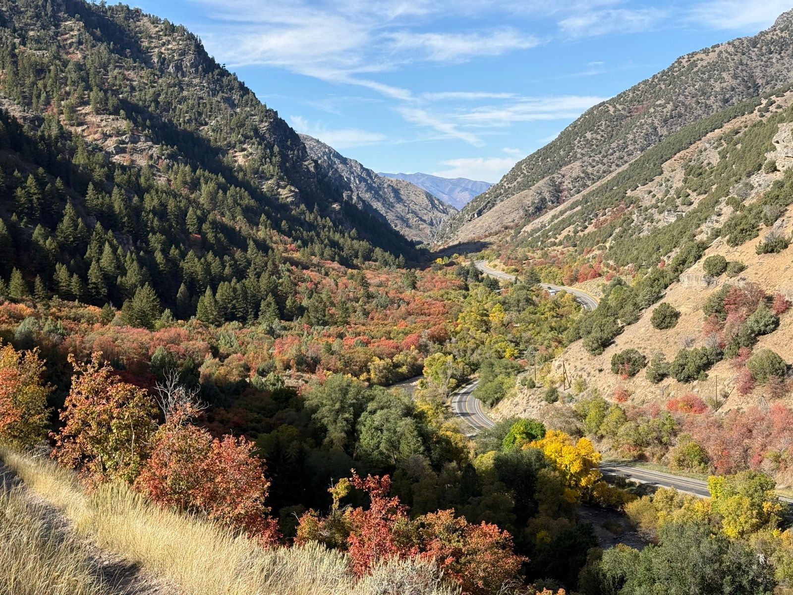 A scenic view of the Logan River Trail showing vibrant autumn foliage across the valley, with rolling hills and mountains in the background. The landscape features a mix of trees with orange, yellow, and green leaves, alongside a winding road through the valley. Clear blue skies are visible above.