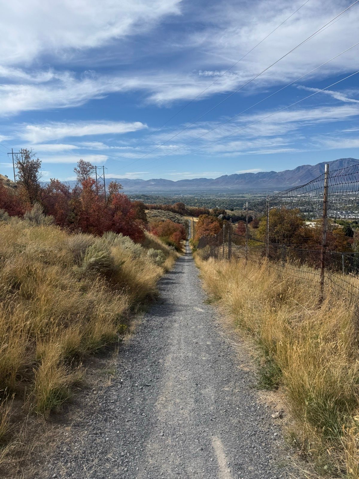 A gravel path lined with tall grasses and colorful autumn trees leads into the distance, flanked by a fence, with mountains visible in the background under a partly cloudy sky.