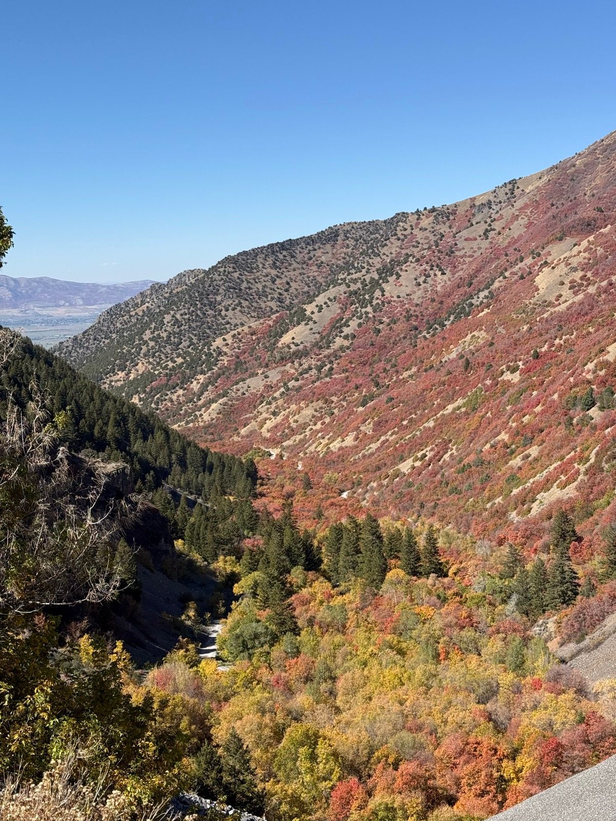 A scenic view of Providence Canyon in Utah, showcasing vibrant autumn foliage with red, orange, and yellow trees. The landscape features steep, sloping hills and a clear blue sky. A winding road can be seen below, surrounded by the colorful vegetation.