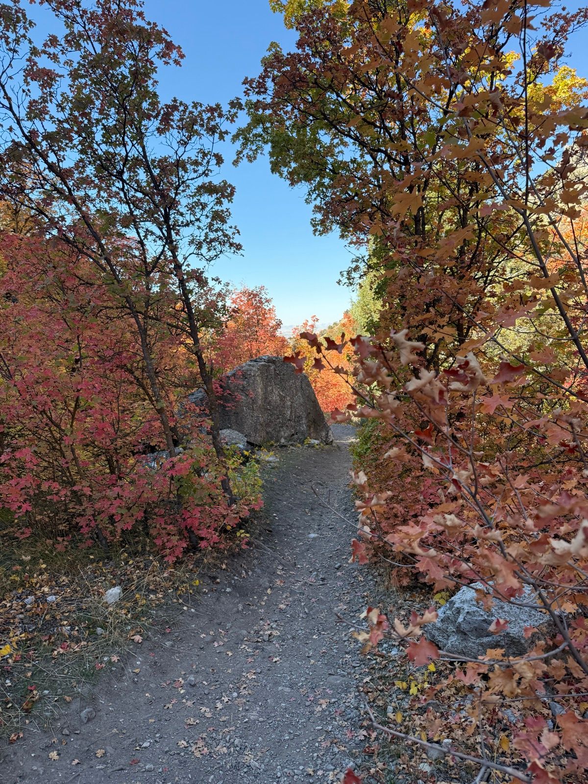A dirt path surrounded by vibrant red and orange foliage leads toward a large rock in Providence Canyon, Utah, under a clear blue sky.