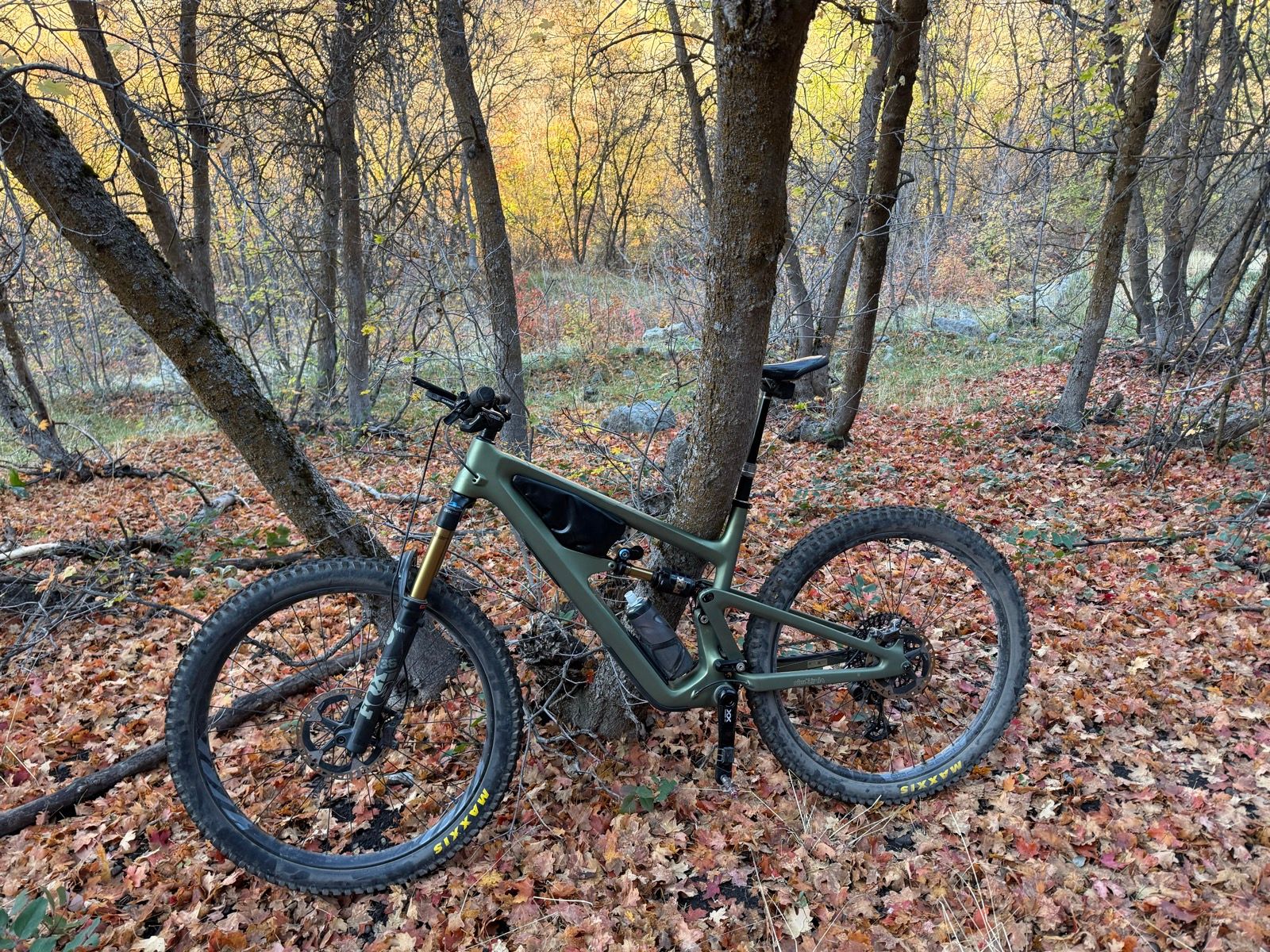 A mountain bike is leaning against a tree in a forested area covered with colorful autumn leaves at Providence Canyon, Utah.