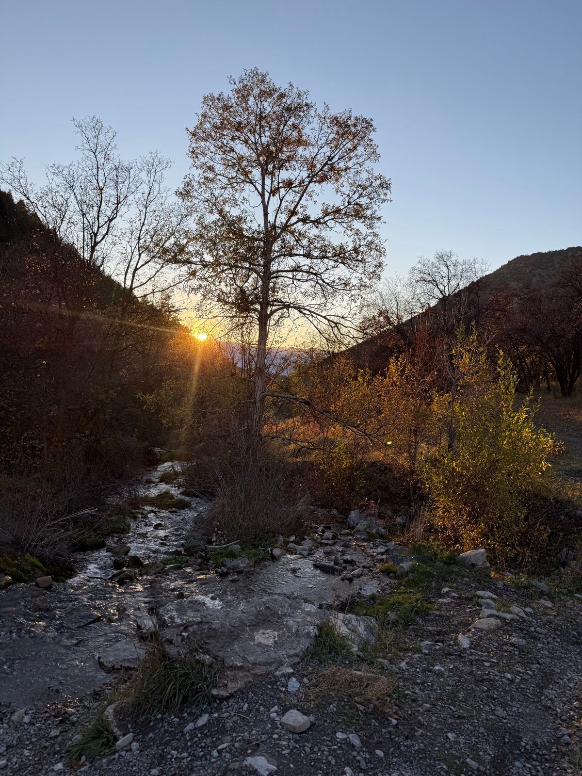 A serene landscape at Providence Canyon, Utah, featuring a tree silhouetted against a sunset. A small stream flows through the foreground, surrounded by rocky terrain and scattered autumn foliage. The sky is clear, transitioning from blue to warm sunset hues.