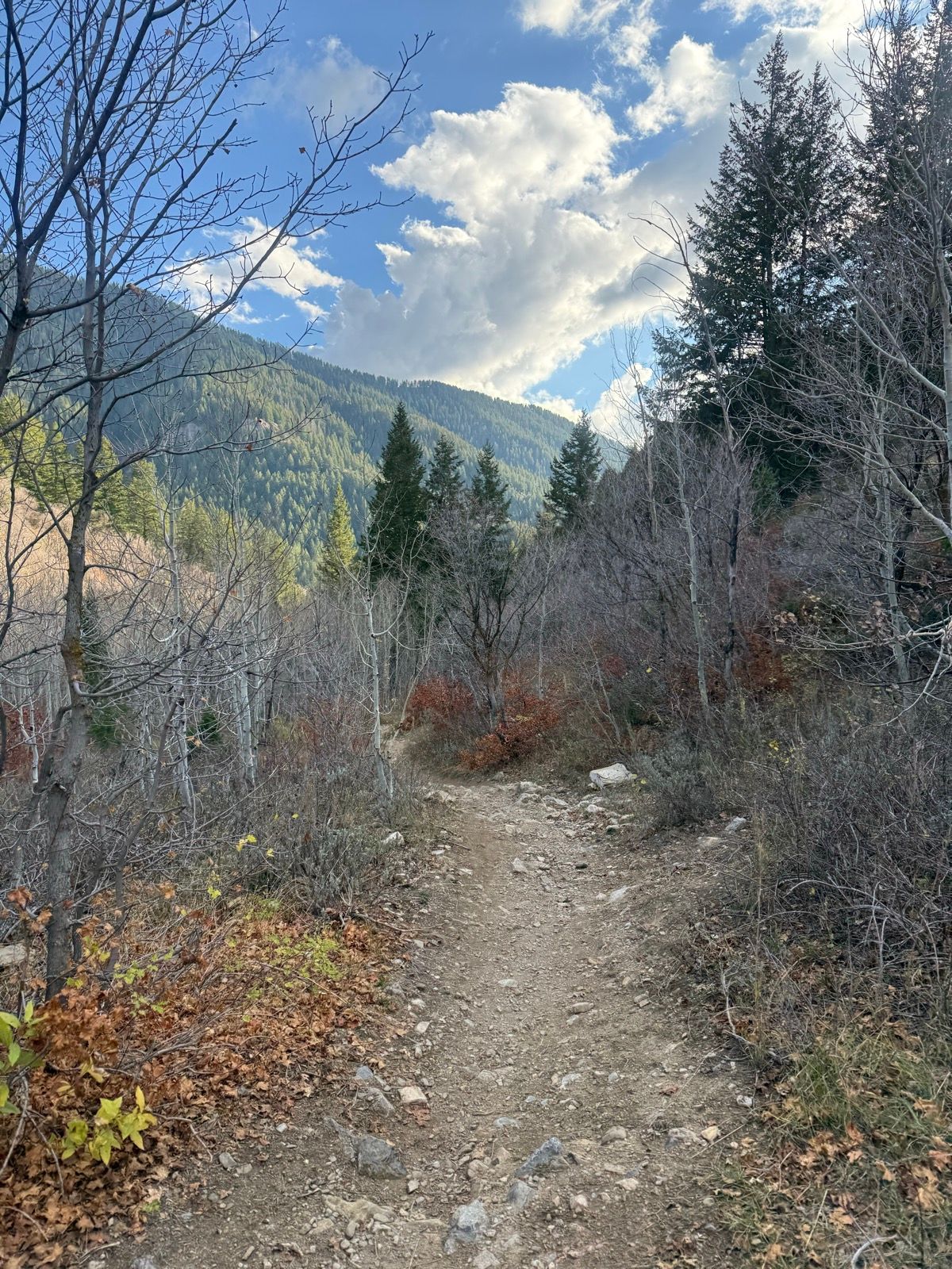 A narrow dirt path winds through a rocky area surrounded by trees and shrubs in Green Canyon, Utah. The landscape features mountains in the background under a partly cloudy sky.