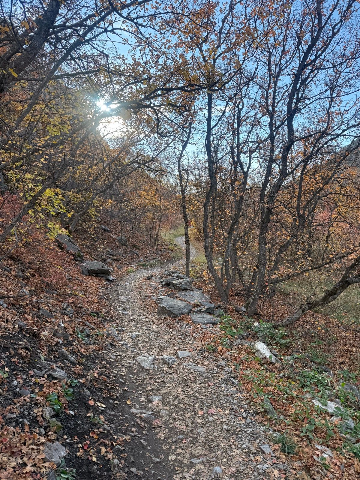 A winding dirt path leads through a wooded area in Green Canyon, Utah, surrounded by trees with autumn leaves. Sunlight filters through the branches, casting a warm glow over the trail. Rocky terrain and colorful foliage are visible along the sides of the path.